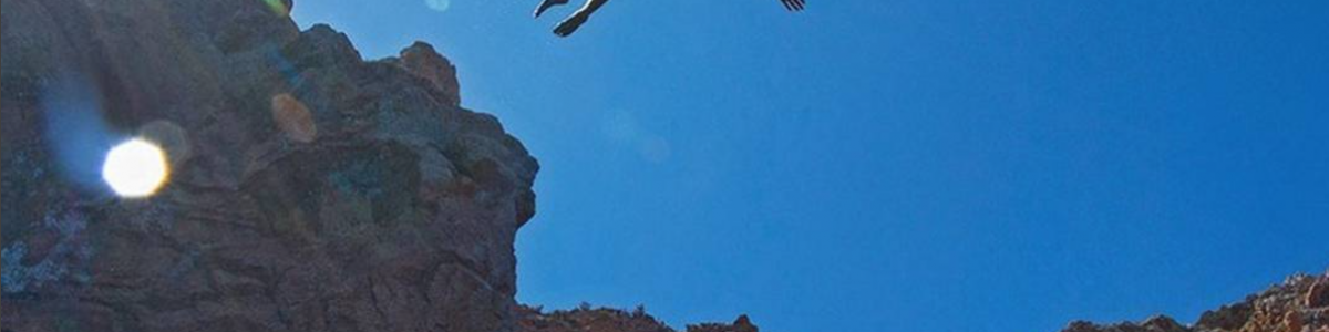 screen-shot-2017-01-09-at-15-13-16