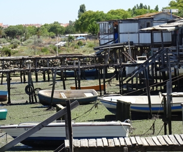 Other Neighbourhood