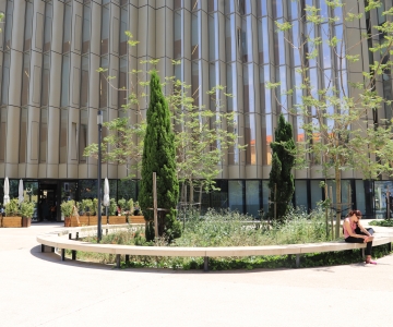 Modern Architecture