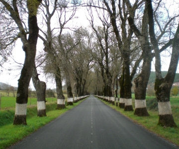 Roads